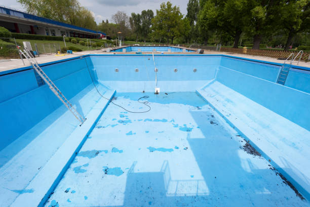 Best Water damage restoration mold remediation  in Travis Ranch, TX