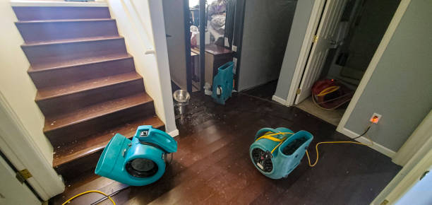 Best Water damage contractors near me  in Travis Ranch, TX