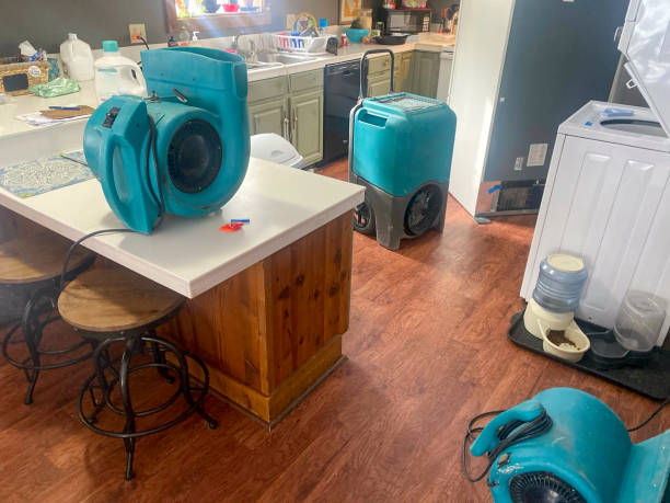 Best Water damage cleanup near me  in Travis Ranch, TX