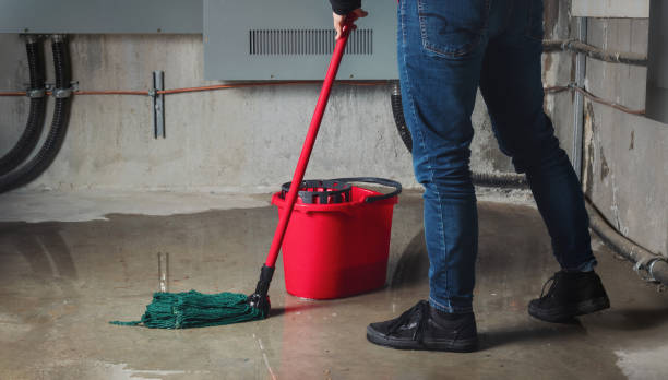 Water damage restoration mold remediation in Travis Ranch, TX