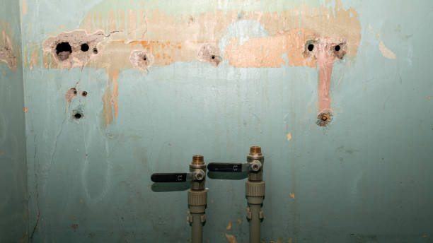 Best Ceiling water damage repair  in Travis Ranch, TX
