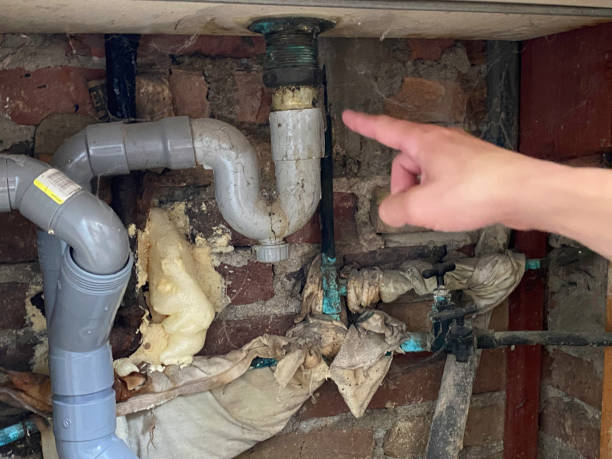 Best Water damage cleanup near me  in Travis Ranch, TX