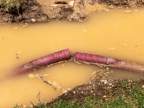  Travis Ranch, TX Water damage restoration Pros