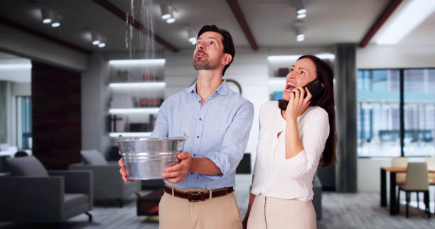 Best Mold removal after water damage  in Travis Ranch, TX