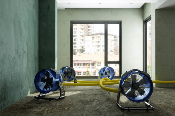 Best Fire Damage Restoration  in Travis Ranch, TX
